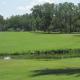 The Brickhouse, Gainesville (photo 6)