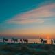 Windhauch, Westermarkelsdorf - 写真 9