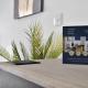 WhiskAwayStays - Field House - Apartment 1, Worcester (photo 8)