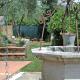 Nonna Afra house on Lucca hills with great view - vetrianello, Loppeglia (foto 7)