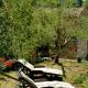 Nonna Afra house on Lucca hills with great view - vetrianello, Loppeglia (foto 6)