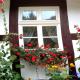 Wohnung in Ulrichshusen, Schwinkendorf - Photo 9