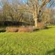Waters edge, Rolvenden (fotografie 3)