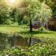 The Pond Cottage at Rustic River, Austinburg (foto 6)