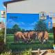 Ferienwohnung Natur pur, Schöbendorf - 写真 10