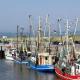 Ferienhaus Wattperlchen in Dornum, ドルヌム - 写真 7