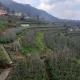 Gaon Homestay, Солан - Фото 8