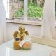 Simon's Town Lodge, Simonʼs Town (photo 10)