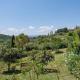 Podere Oliveta, Poggibonsi