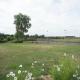 The Granary Smeeth, Smeeth (fotografie 3)