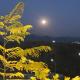 Green Hills View, Islamabad (photo 3)
