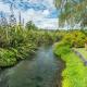 Streamside Flax Cabin - Waitahanui, Taupo - Photo 10