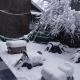 Soham hotel and restaurant, Bashist - Foto 3
