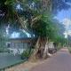 Kohmook treehouse, Kantang (Foto 2)