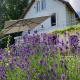 LA CHERIELLE, Auvers-sur-Oise (Foto 3)