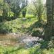 La rivière, Curvalle (фото 10)