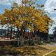 Hospedaria Querencia, Campo Belo do Sul - 写真 10