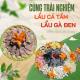 Eco green - Homestay & Hot spring Trạm Tấu, Trạm Tấu (fotografie 6)