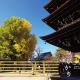 古都ひかり1, Takayama - Kuva 1