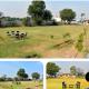 Ranthambore Bagh niwas, Khilchipur - Foto 2