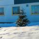 Tusenvik, Høybukt - 写真 6