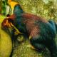 Periyar Green Bed & Breakfast, Thekkady - Φωτογραφία 2