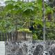 Casa Leona, Quepos (photo 7)