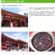 XQC2253 Sensoji Temple, newly built building with complete facilities, Tokio - Fotografie 4
