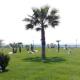 Sea View apt Athens, Athen - Foto 4