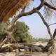 Roots cottage in Sanyang - Foto 4