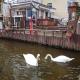 Wohnung im Haus am See von Berlin, Zeuthen - Photo 1