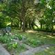 Churchlands, Kirdford (fotografie 9)