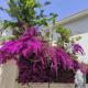 City Garden & Private Parking
