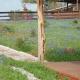 Texas T Bed and Breakfast, Llano (fotografie 5)