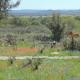 Texas T Bed and Breakfast, Llano (fotografie 8)