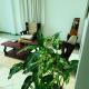 Sky Bello Hotel, Katunayake (zdjęcie 10)