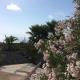 Appartement Taburiente, Las Manchas (fotografie 9)