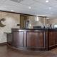 Comfort Suites Plano - Dallas North, Plano (Foto 7)