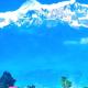 Aditya Homestay Dalhousie, Dalhousie - Foto 10
