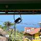 Pouso da Celeste - Trindade, Trindade - Fotografie 9