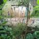 Moulin Barrat, Le Veurdre (foto 5)