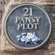 Pansy Plot Wooler - Zdjęcie 2
