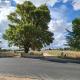 Alloway Bank Bathurst - Fotografie 2