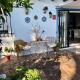Casa Pipa Alhaurín el Grande - vrijstaande casita met privé zwembad en grote tuin, Málaga - Foto 6