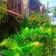 Good Vibes Bungalows, Gili Trawangan (foto 3)