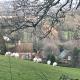 The Barn at Logmore Farm, Westcott (fotografie 4)