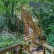 Mountain Laurel Tree House Highlands - Photo 5