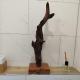 Design Apartment - Pure, Glauburg - Foto 3