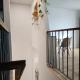 Spacious New 3 bedrooms unit, Antioch (fotografie 9)