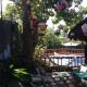 Casa de Arena, Manzanillo (photo 5)